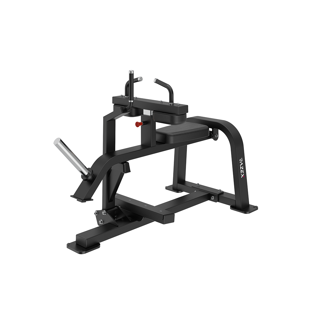Seated Calf Raise